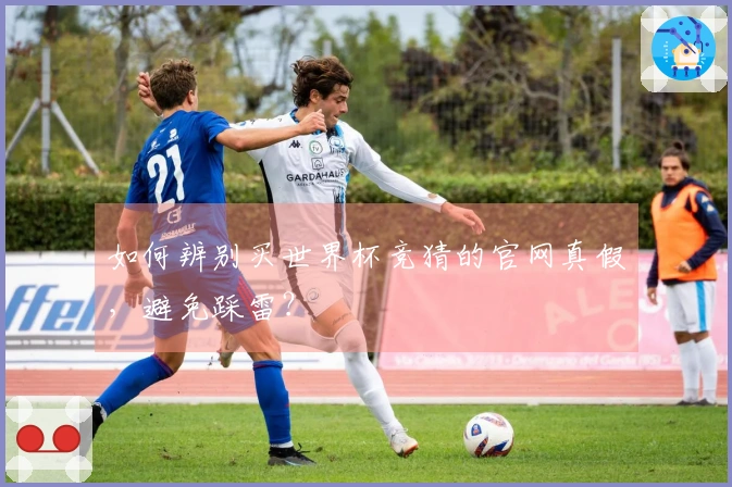如何辨别买世界杯竞猜的官网真假，避免踩雷？
