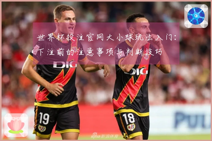 世界杯投注官网大小球玩法入门：下注前的注意事项与判断技巧