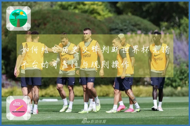 如何结合历史交锋判断世界杯竞猜平台的可靠性与规则操作