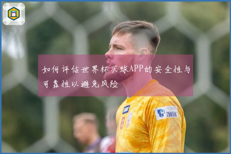 如何评估世界杯买球APP的安全性与可靠性以避免风险