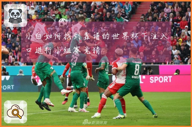 小白如何找到靠谱的世界杯下注入口进行小组赛竞猜