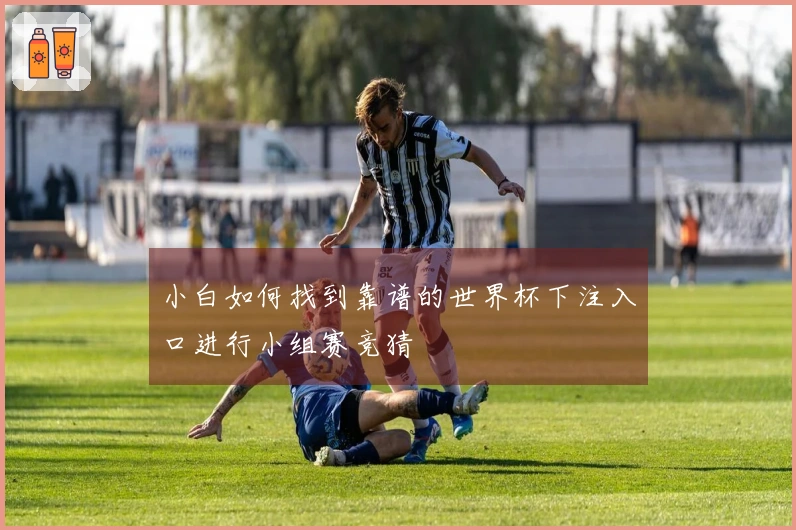 小白如何找到靠谱的世界杯下注入口进行小组赛竞猜