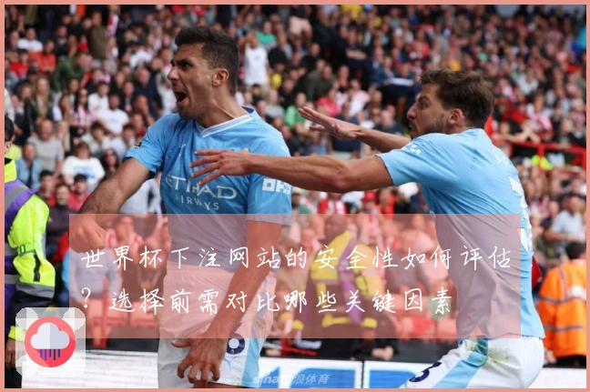 世界杯下注网站的安全性如何评估？选择前需对比哪些关键因素